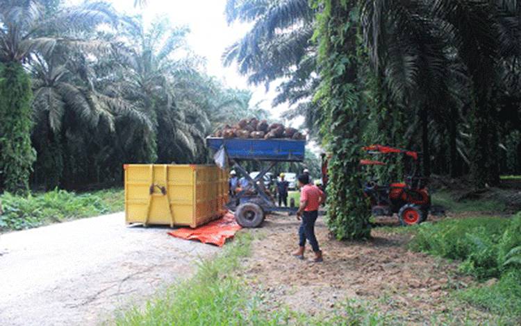 Gapki Kalteng Dorong Kolaborasi Swasta dan Pemerintah untuk Sawit Berkelanjutan