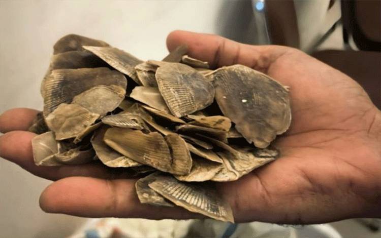 Polisi Tangkap Pria Pengangkut 30 Kilogram Sisik Trenggiling