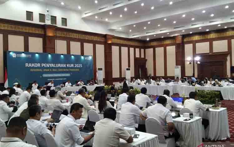 Pemerintah Tekankan Literasi UMKM Dongkrak Penyaluran KUR Regional
