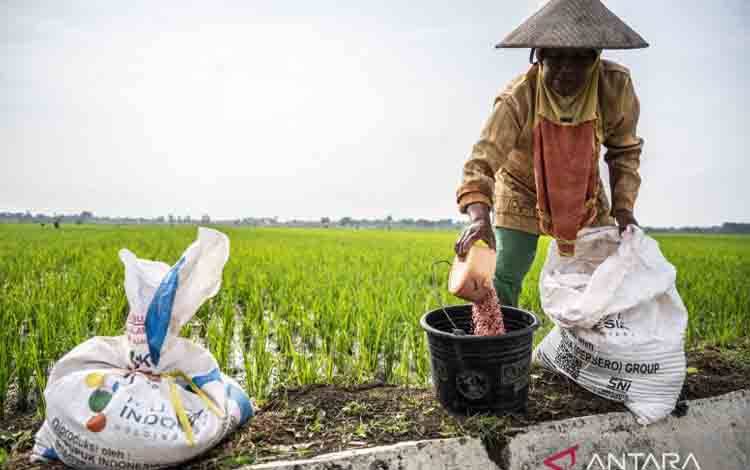 Kementan Sebut Serapan Pupuk Subsidi Naik Pascapenurunan HET
