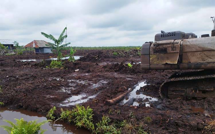 Proyek Cetak Sawah di Kotim Terancam Gagal, DPRD Soroti Lambannya Pelaksanaan