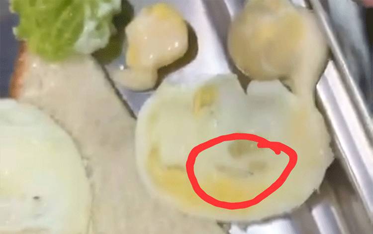 Siswa di Kotim Temukan diduga Belatung di Menu MBG