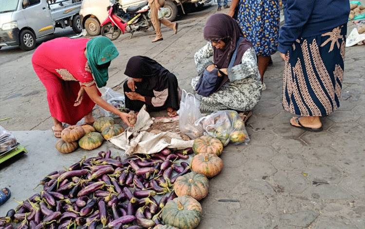 Kualitas dan Panen Sayuran di Palangka Raya Dikhawatirkan Terdampak Cuaca Ekstrem