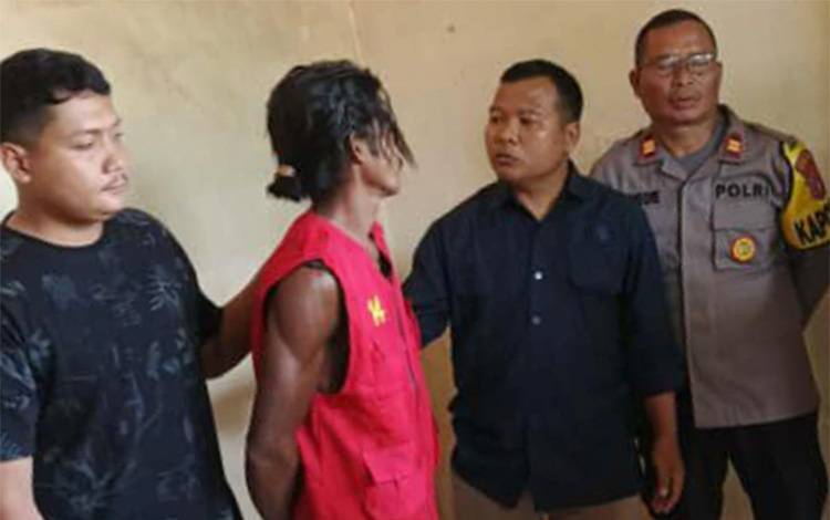 Kejari Pulang Pisau Ringkus Buronan Kejari Kupang di Perkebunan Sawit Sebangau Kuala