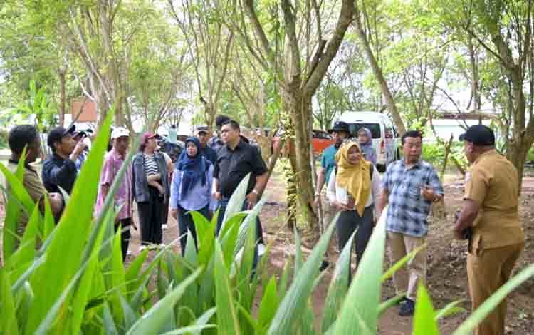BPDP Dorong Pengembangan Kelapa Bido Morotai, Potensi Luar Biasa Harus Diperkuat dari Hulu