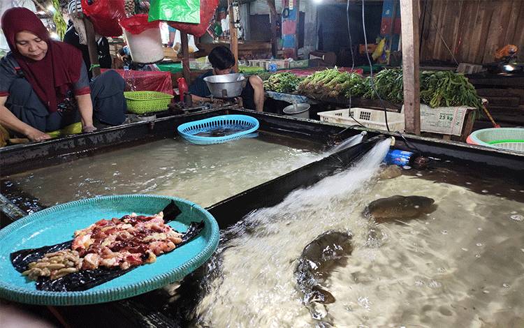 Harga Pangan Naik, Kalteng Catat Inflasi 2,56 Persen di November