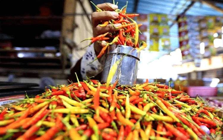 PIHPS: Harga Cabai Rawit Merah Rp72.750/kg, Telur Ayam Rp33.000/Kg