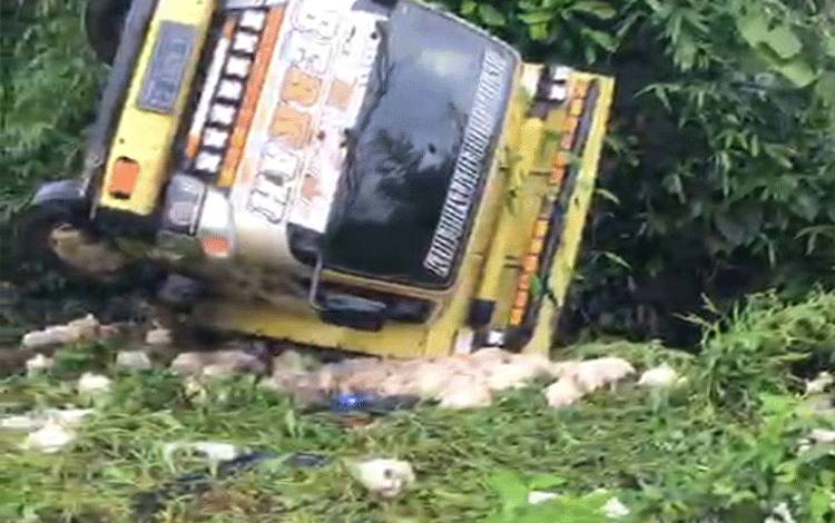 Truk Pengangkut Ayam Terbalik di Jalur Kalsel