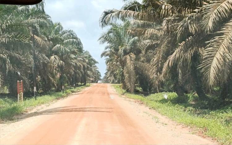 DPRD Kotim Minta Klaim Lahan Disampaikan Secara Perdata Agar Tak Ganggu Kondusivitas Daerah