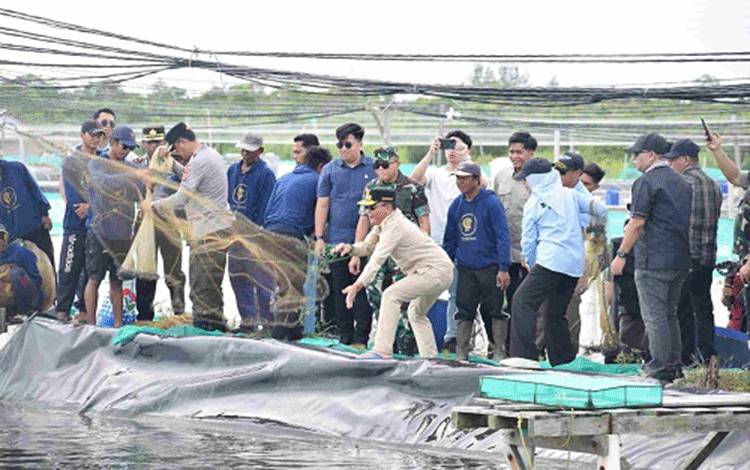 Agustiar Sabran Nilai Udang Vaname Serasi dengan Kalteng