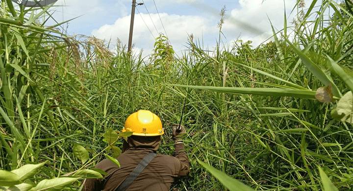 Sudah Berhari-Hari Listrik Padam di Wialayah Kecamatan Pulau Hanaut