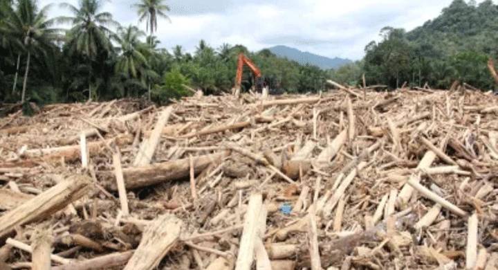 Bareskrim Naikkan Kasus Kayu Terseret Banjir di Sumut ke Penyidikan