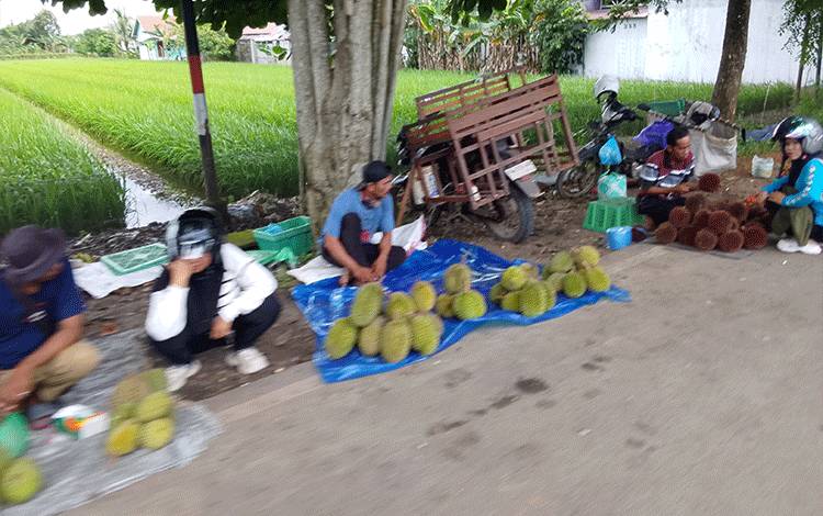 Pedagang Durian Mulai Menjamur di Sepanjang Jalan Pemuda Kuala Kapuas