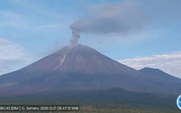 Gunung Semeru Kembali Erupsi dengan Tinggi Letusan Capai 1,2 Km