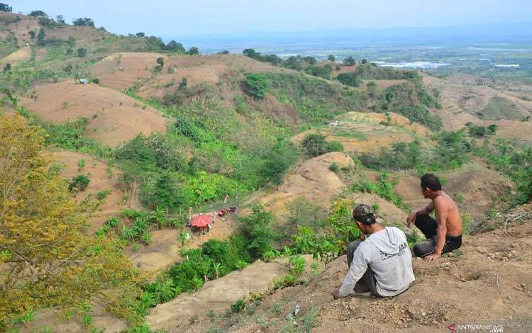Hutan Kalimantan di Ujung Tanduk: Refleksi Sejarah Kelam "Tanah Dolar" Sumatera
