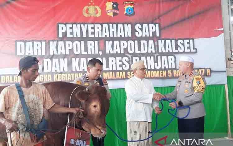 Kapolri Sumbang Sapi Limousin Bobot 1 Ton untuk Haul Guru Sekumpul