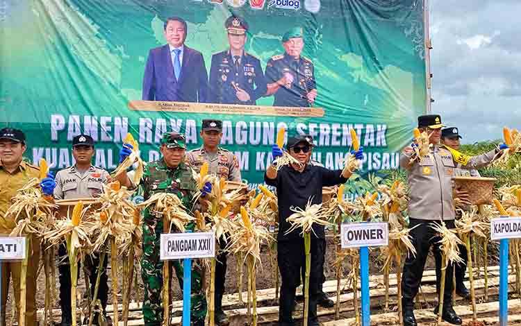 Dukung Ketahanan Pangan Nasional, CBI Group Panen Jagung Tumpang Sari di Lahan Sawit