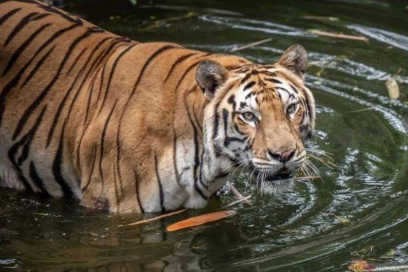 Liburan ke Ragunan, Saatnya Belajar Lebih Peduli pada Satwa