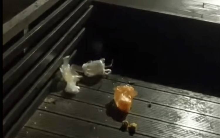 Perilaku Tak Bertanggung Jawab Pengunjung Dermaga KP3 Kapuas Picu Keluhan Masyarakat