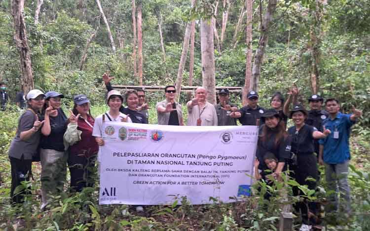 OFI, BKSDA SKW II dan Mercure Pangkalan Bun Lepasliarkan Dua Orangutan Jantan di Tanjung Puting