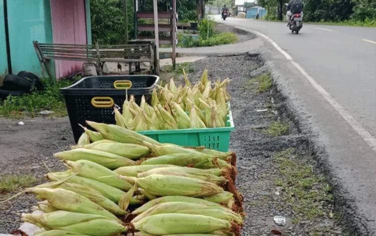 Jelang Malam Tahun Baru, Lapak Jagung Bermunculan di Kapuas
