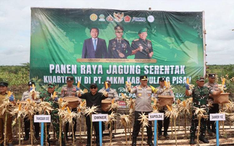 Polda Kalteng Panen 42.590 Ton Jagung Guna Dukung Ketahanan Pangan