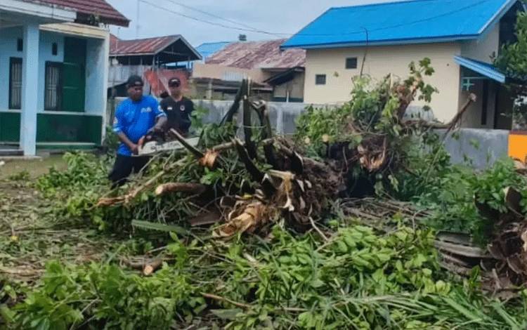 TRC BPBD Palangka Raya Pangkas Lima Pohon Sawit Rawan Tumbang di Jalan Jalak V