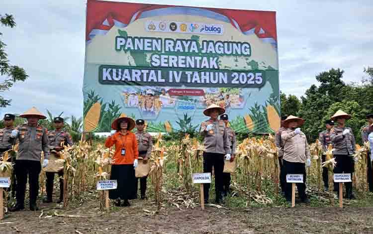 Wujudkan Swasembada Pangan, Kapolda Kalteng Pimpin Panen Raya Jagung Serentak di Kabupaten Katingan
