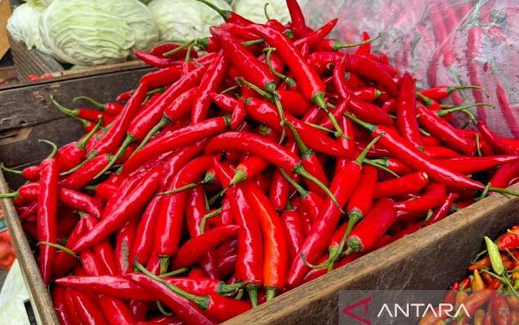Harga Tomat dan Semen Naik di Kobar