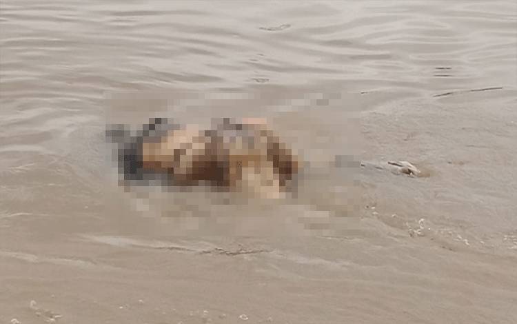 Warga Desa Luwuk Kiri Temukan Mayat Laki-Laki Mengapung di Sungai Katingan