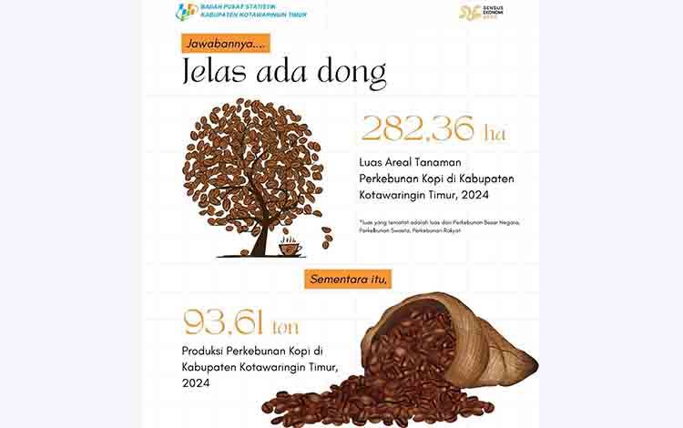 BPS Catat Luas Areal Perkebunan Kopi di Kotim Capai 282,36 Hektar