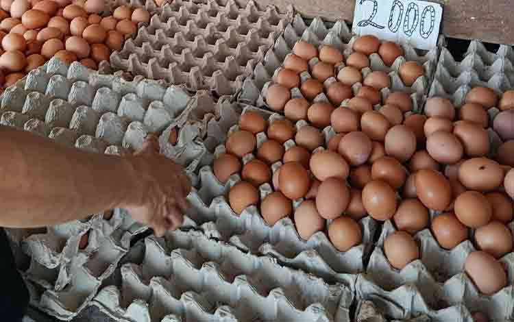 Harga Telur Ayam Ras di Palangka Raya Naik 1 Persen, Ini Penyebabnya