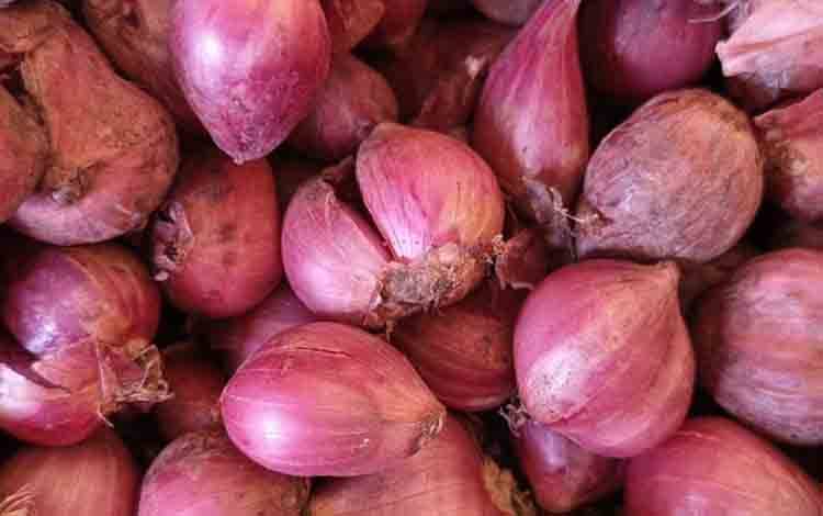Dewan Nilai Palangka Raya Miliki Potensi Penuhi Kebutuhan Bawang Merah