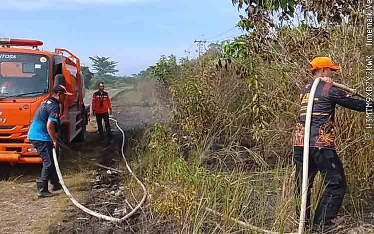 Kebakaran Lahan di Mentaya Hilir Utara, Penyebab Diduga karena Puntung Rokok