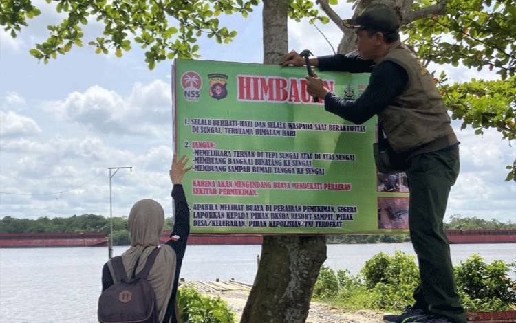BKSDA Sampit Terus Edukasi Warga Terkait Ancaman Buaya di Sungai Mentaya