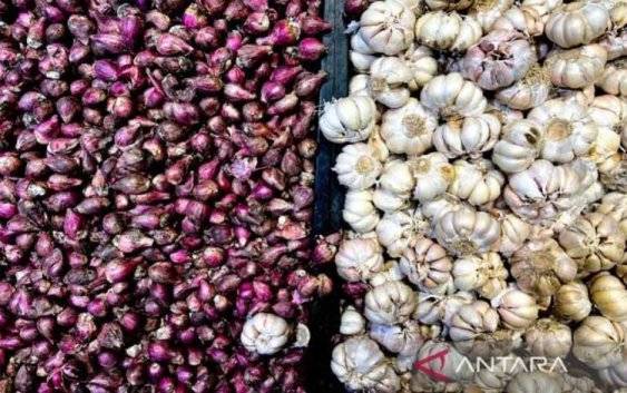 Harga Cabai dan Pupuk di Kobar Naik, Bawang Putih Turun Jadi Rp40 Ribu per Kg