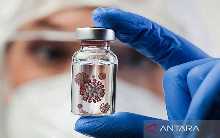 Singapura Perketat Skrining Kesehatan Bandara Akibat Virus Nipah