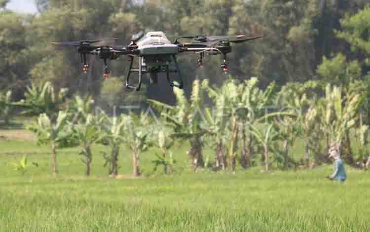 Kementan Dukung Pemanfaatan 'Drone' untuk Pertanian Berkelanjutan
