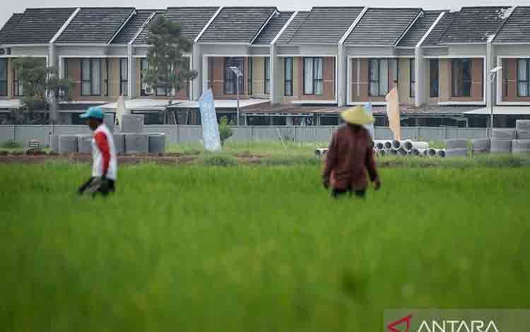 Pemerintah Terus Dorong Perlindungan Lahan Pertanian dari Alih Fungsi