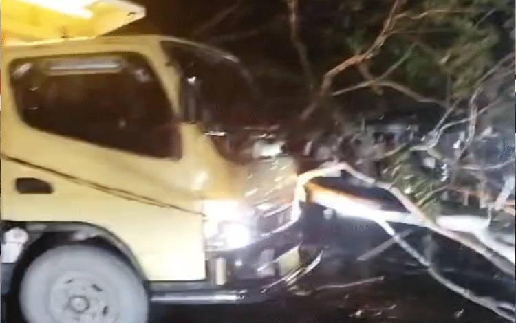 Lalu Lintas Jalan Pemuda Kuala Kapuas Terganggu Akibat Pohon Tumbang