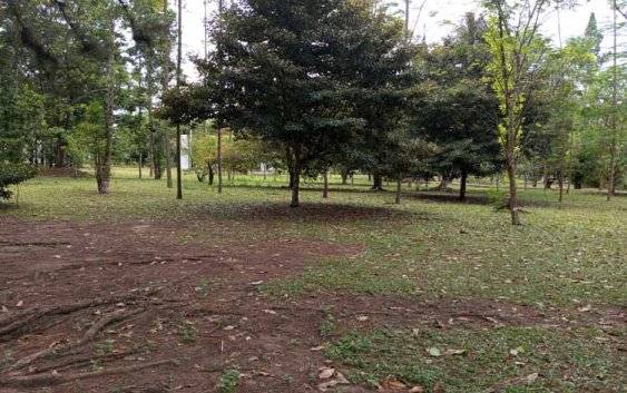 DLH Dukung DP3AP2KB Kobar Wujudkan Pangkalan Bun Park Aman dan Nyaman untuk Anak