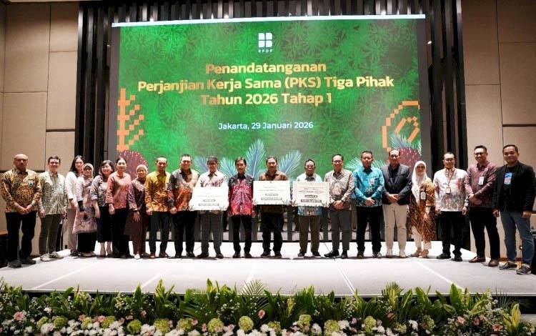 Percepatan PSR 2026, BPDP Targetkan 50 Ribu Hektare Peremajaan Sawit Rakyat