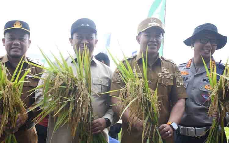 Bupati Pulpis Dampingi Wagub Kalteng Panen Raya Demplot Padi