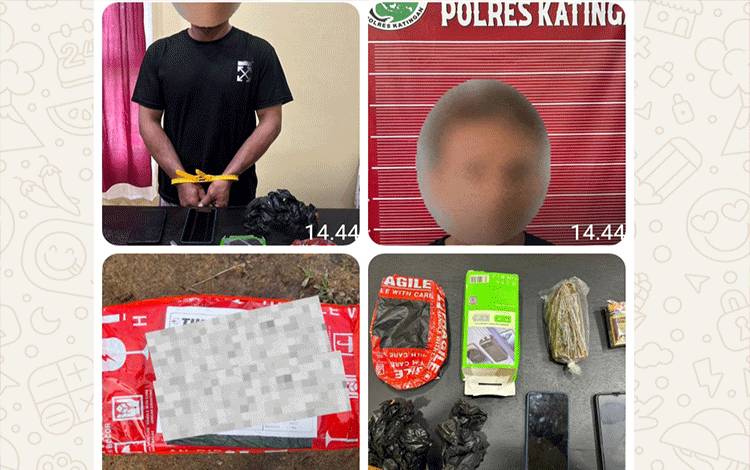 Polres Katingan Bongkar Penyelundupan Ganja via Ekspedisi, Seorang Pengedar Diringkus