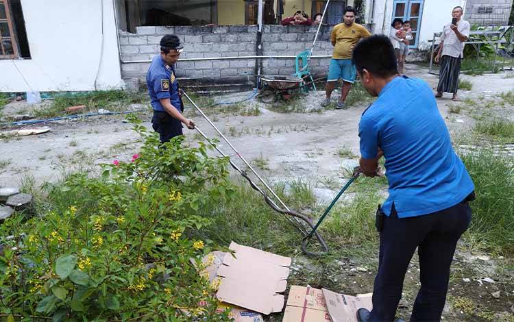 Tim Animal Rescue Satpol PP Pulang Pisau Evakuasi Ular Hanjaliwan di Permukiman Warga