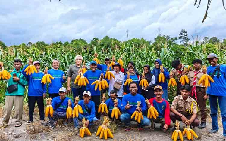 BPS Catat Produksi Jagung Pipilan Sepanjang 2025 Capai 59,35 Ribu Ton