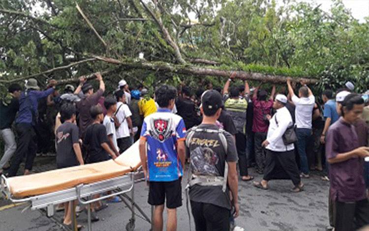 Pohon Tumbang di Depan Masjid Al Karomah Martapura Timpa Sejumlah Pengendara