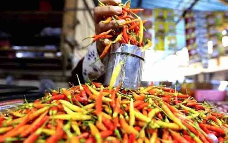 PIHPS: Harga Cabai Rawit Merah Rp89.350/kg, Telur Ayam Rp32.450/kg
