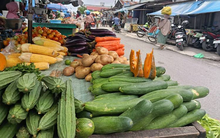Anggota DPRD Palangkaa Raya ini Ingatkan Petani Perhatikan Keamanan Pangan dan Penggunaan Pestisida