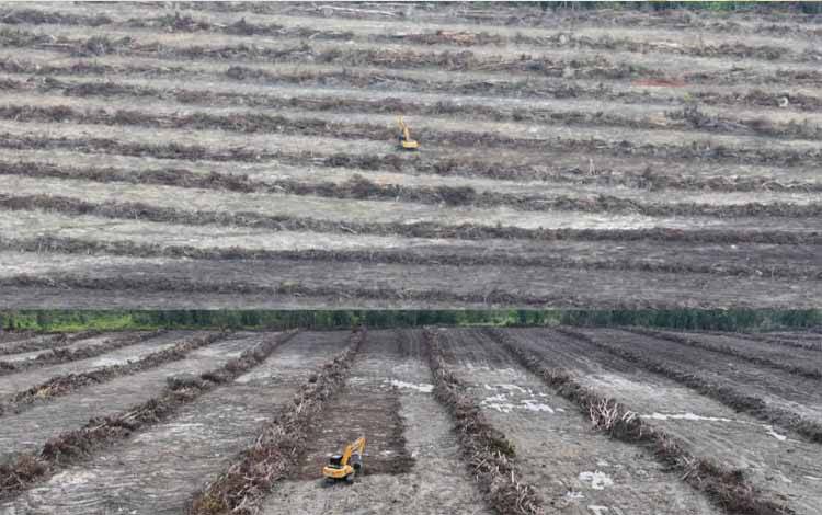 Pemko Palangka Raya Siapkan 21,5 Hektare di Petuk Bukit untuk Cetak Sawah